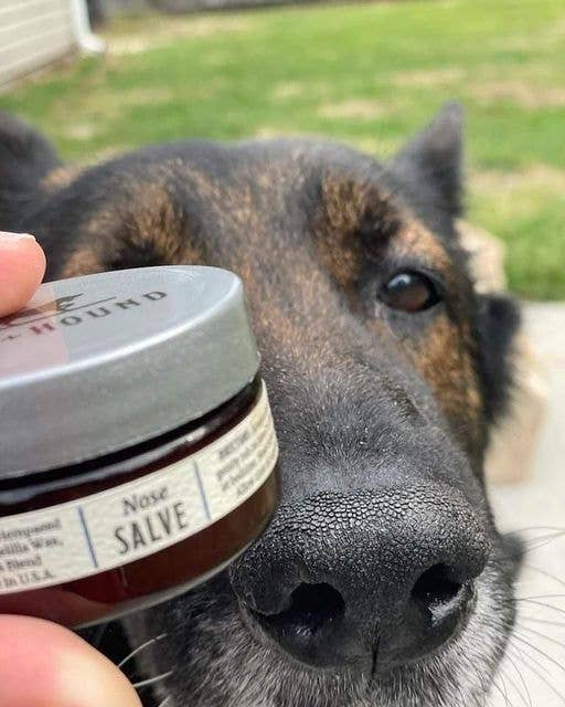 Nose Salve- Fox + Hound Nose Salve For Dogs, Butter, Balm